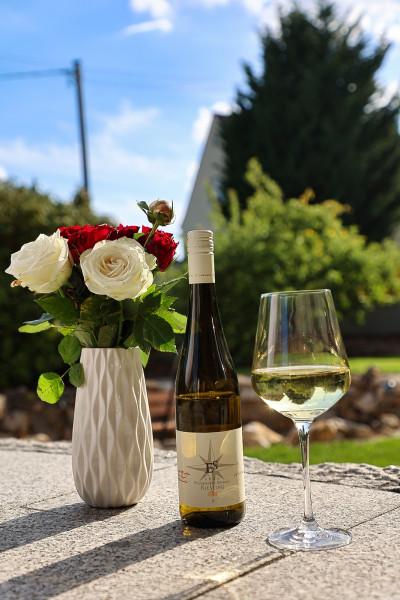 Ellermann-Spiegel| Riesling Schlabberwein