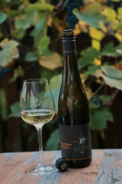 Auxerrois